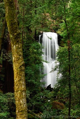 Berry Creek Falls