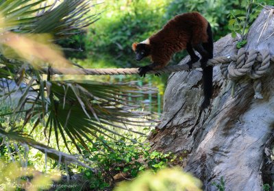 San Francisco Zoo