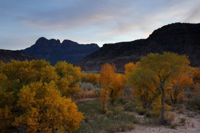 Zion Evening