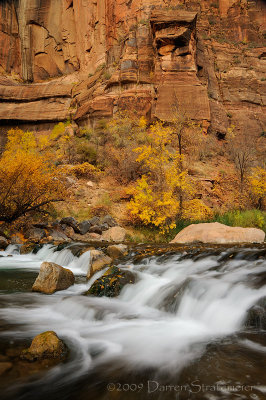 Whitewater in the Canyon