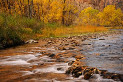 Fall Color Waters