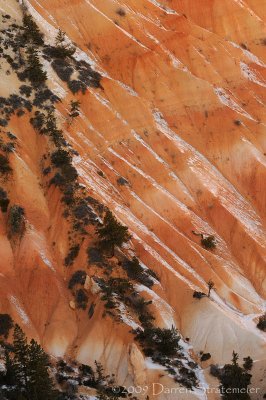 Canyon Abstract