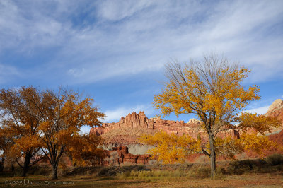 Fall in Capitol Reef
