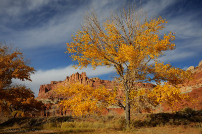 The Castle and Fall Color