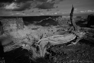 Impressions of the West