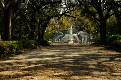 Welcome to Forsyth Park