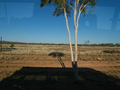 PB308021_small.jpg