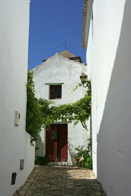 IMG_3568.JPG