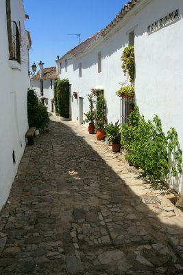 IMG_3576.JPG