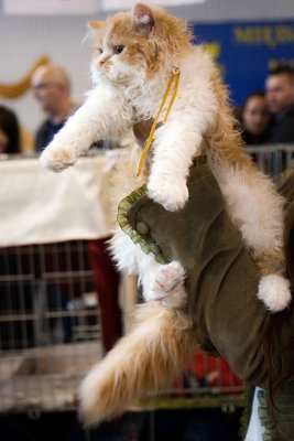 IMG_8745.jpg