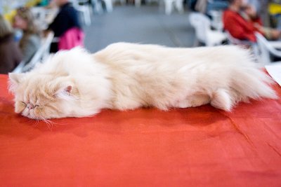 IMG_1251.jpg