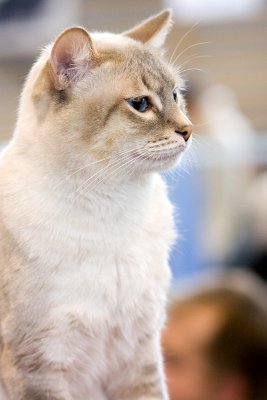 IMG_1285.jpg