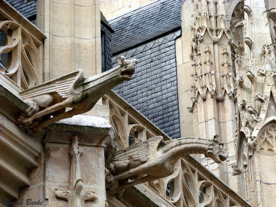 Rouen Cathedral Gargoyles 2.jpg