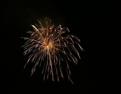 DSC01480crop.jpg