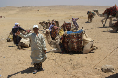 Camel driver
