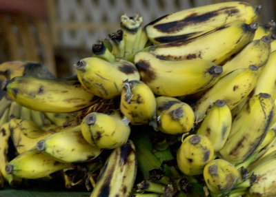 Bananas at Banana Island