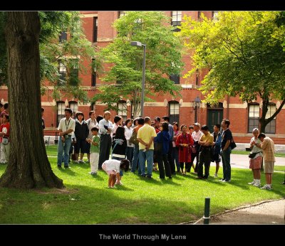 Harvard University