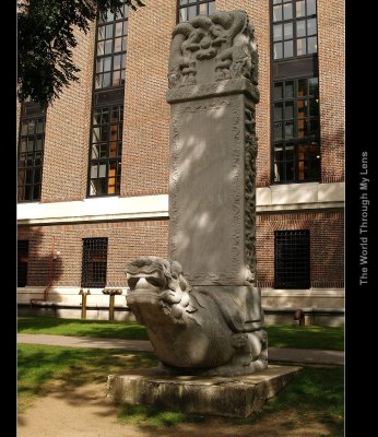 Harvard University