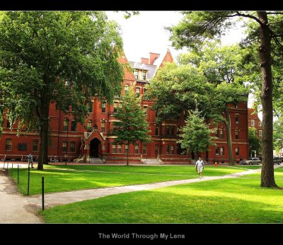 Harvard University