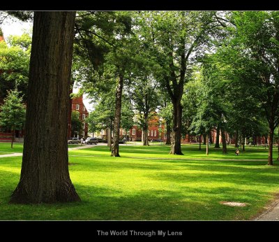 Harvard University