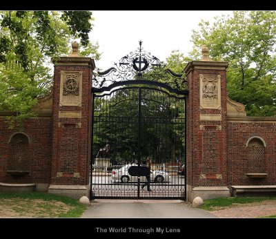 Harvard University