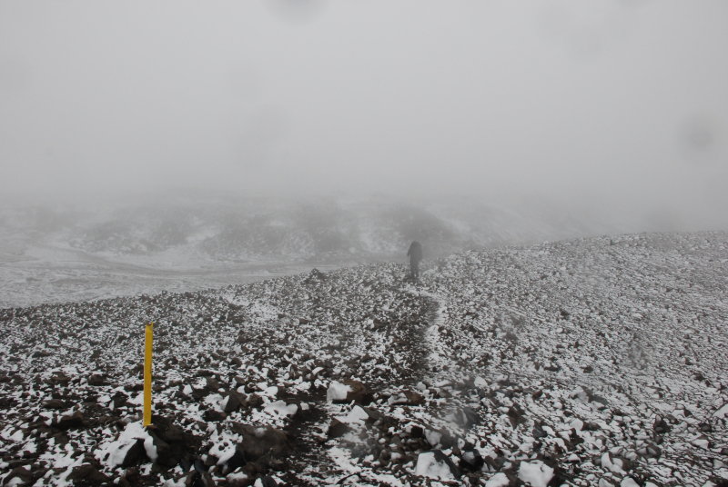 Snowing!