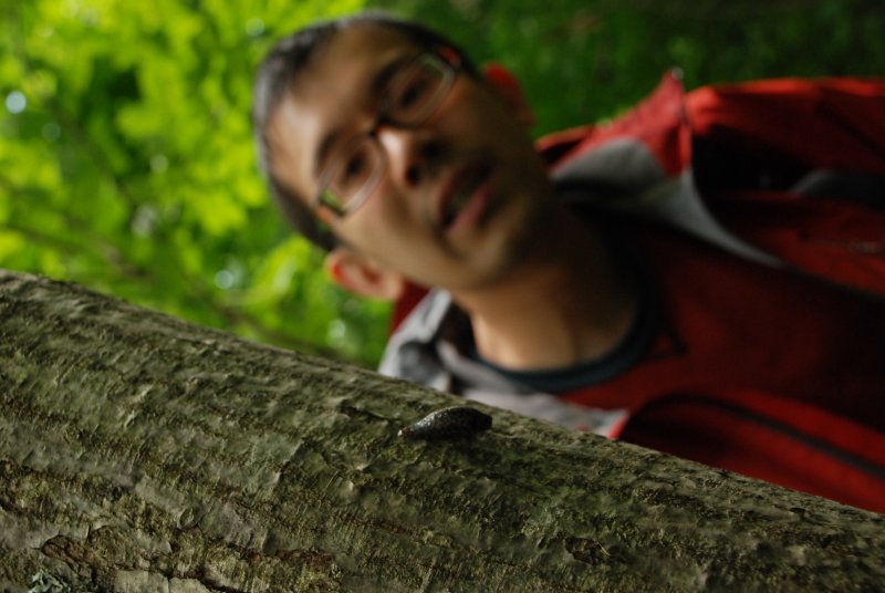 Slug - ugh!