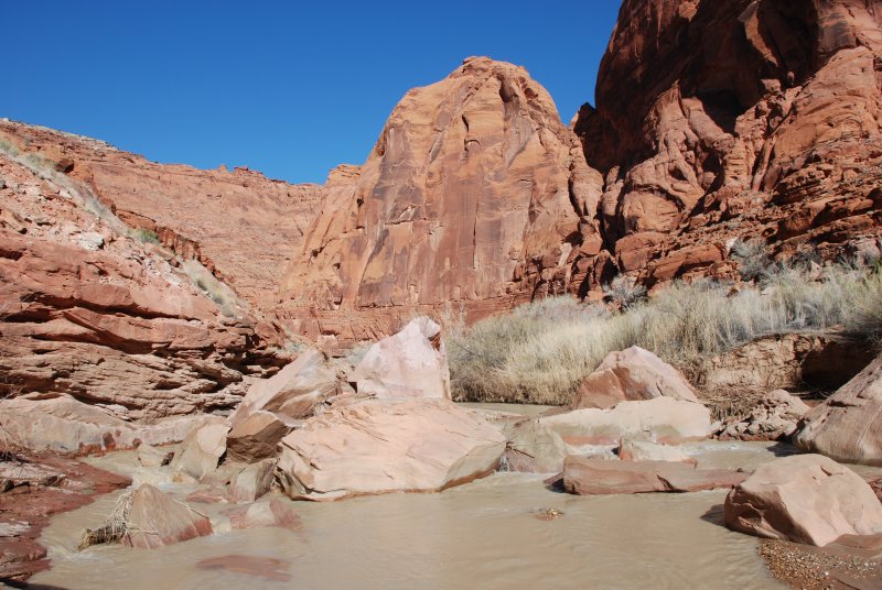 Canyon scene