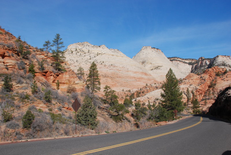 Driving through Zion