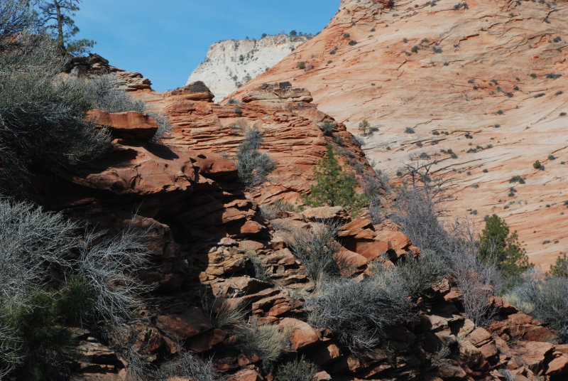 Some rocks