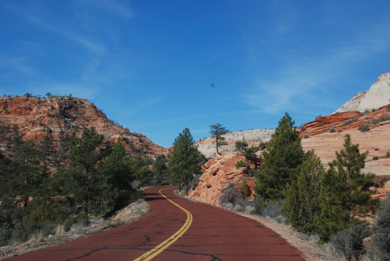 Driving through Zion