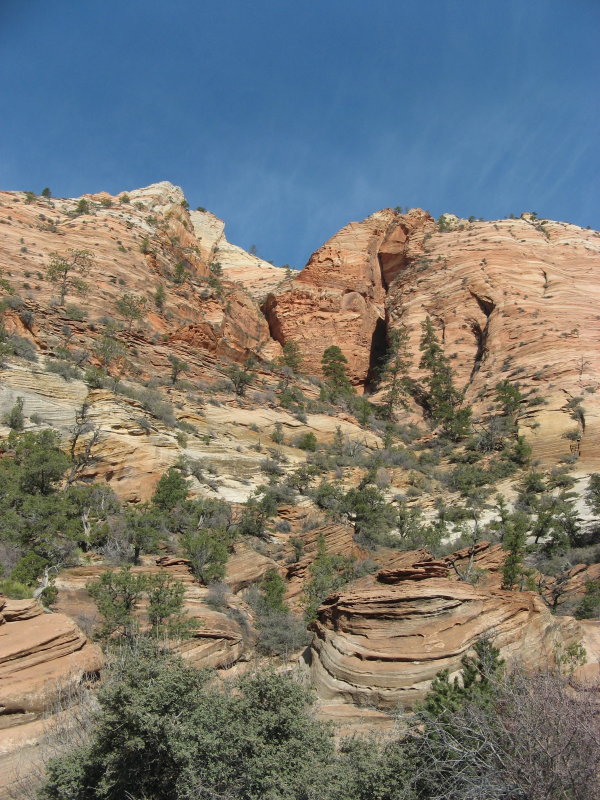Rock garden
