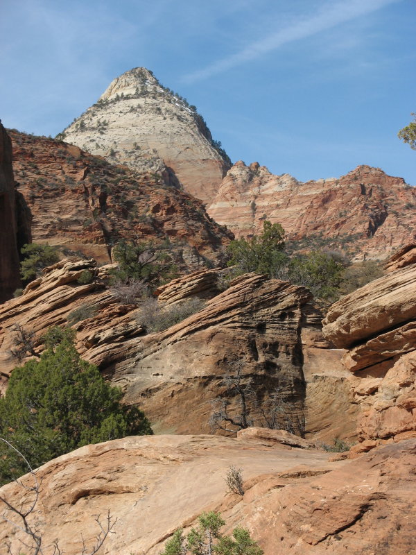 Rock garden