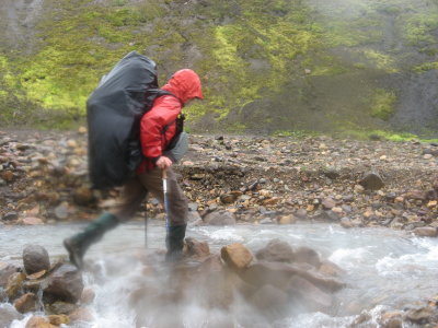 Darting across a stream