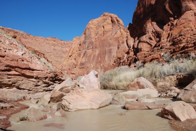 Canyon scene