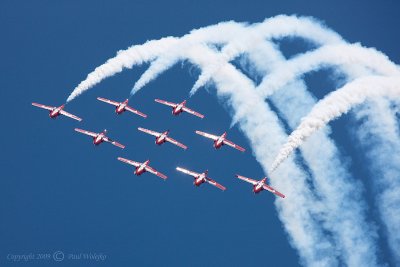 Snowbirds_3.jpg