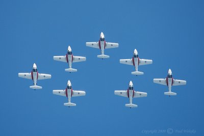 Snowbirds_5.jpg