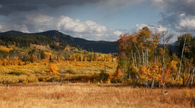 Fall Colors in the Tetons1.jpg