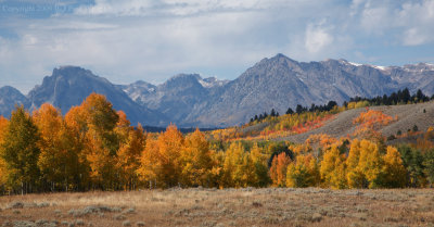 Grand Tetons Fall Color.jpg