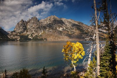 Jenny Lake.jpg