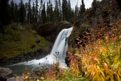 Moose Falls1.jpg