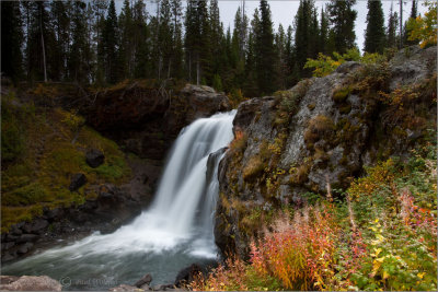 Moose Falls2.jpg