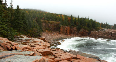 Acadia National Park Coast1.jpg