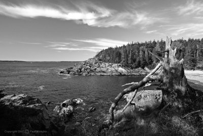 Acadia National Park Coast13_BW.jpg