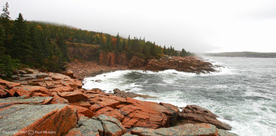 Acadia National Park Coast3.jpg