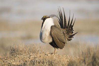 g3/93/807793/3/95663622.yQbnBmwF.jpg