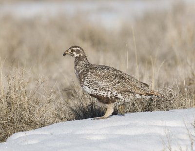 g3/93/807793/3/95663672.AZKCniYk.jpg
