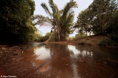 Fouta Djalon - near Senegal border