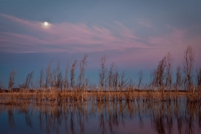 _MG_5343 as Moon Over Pink Clouds.jpg