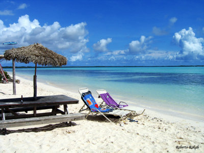 Bonaire - Netherlands Antilles - Caribbean Sea